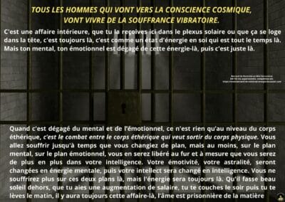 Synthèse vibratoire – MR 155 Vie expérientielle et compétition