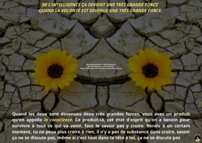 Synthèse vibratoire – MR 167 L’Homme est fait de 2 parties