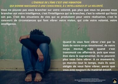 Synthèse vibratoire – MR 168 L&rsquo;homme est un être anormal, la preuve c&rsquo;est un être inconscient