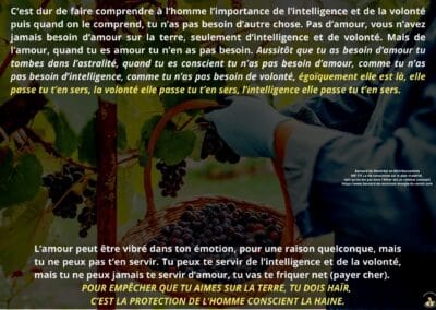 Synthèse vibratoire – MR 175 La vie consciente, sur le plan matériel, tant qu&rsquo;on est pas dans l&rsquo;éther, est un combat constant