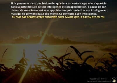 Synthèse vibratoire – MR 193 Mettre fin à son initiation solaire