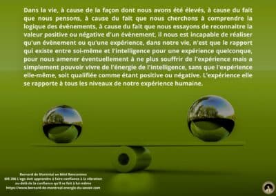 Synthèse vibratoire – MR 206 L&rsquo;ego doit apprendre à faire confiance à la vibration au-delà de la confiance qu&rsquo;il se fait à lui-même