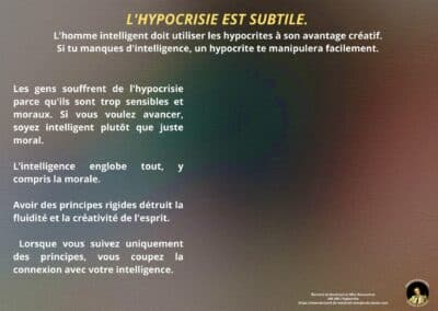 Synthèse vibratoire – MR 208 L’hypocrisie