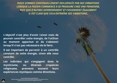 Synthèse vibratoire – MR 209 L&rsquo;hypocrisie vécue par l&rsquo;homme, véhiculée par l&rsquo;homme c&rsquo;est la passion de l&rsquo;âme