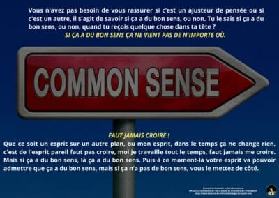 Synthèse vibratoire – MR 223 La connaissance c&rsquo;est la prison de la lumière de l&rsquo;intelligence