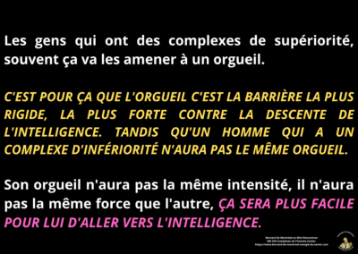 Synthèse vibratoire – MR 229 Complexe de l&rsquo;homme (Suite)