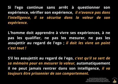 Synthèse vibratoire – MR 242 L&rsquo;expérience fondamentale dans le cosmos et la libération de la mémoire créée par l&rsquo;expérience.