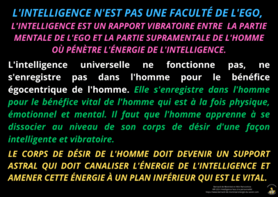 Synthèse vibratoire – MR 253 L’intelligence face à la personnalité