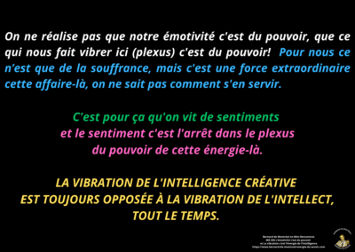 Synthèse vibratoire – MR 256 L’émotivité c’est du pouvoir et la vibration c’est l’énergie de l’intelligence