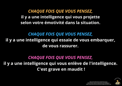 Synthèse vibratoire – MR 274 Entrer dans la maturité de son intelligence