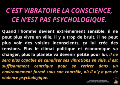 Synthèse vibratoire – MR 276 Canaliser ses énergies sur le plan physique