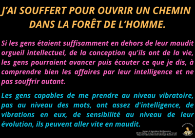 Synthèse vibratoire – MR 294 Réaliser et confirmer par soi-même ce que l’on sait