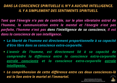 Synthèse vibratoire – MR 303 La démystification de la conscience