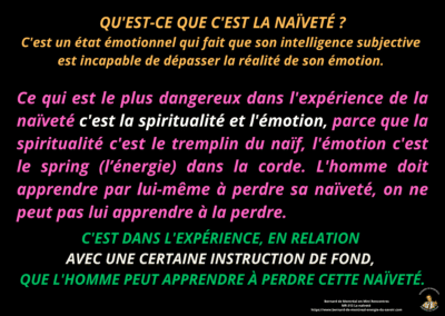 Synthèse vibratoire – MR 313 La naïveté