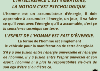 Synthèse vibratoire – MR 339 Concept de notion, illusion et nécessité