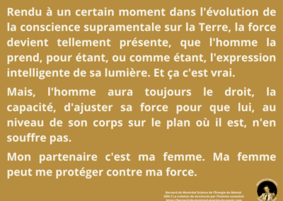 Synthèse vibratoire SEM 2 – La création de structures par l’homme conscient