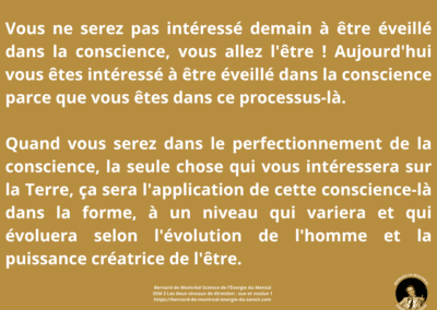 Synthèse vibratoire SEM 3 – Les deux niveaux de direction : sue et voulue