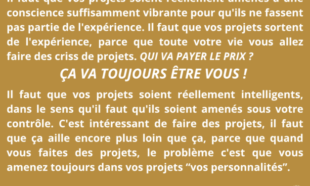 Synthèse vibratoire SEM 006 – Talents et connexion : les deux niveaux de la créativité