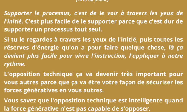 Synthèse vibratoire SEM 009 –  Créativité, simplicité et paix