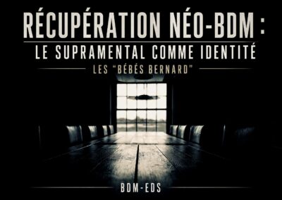 0a Récupération néo-BDM : le supramental comme identité