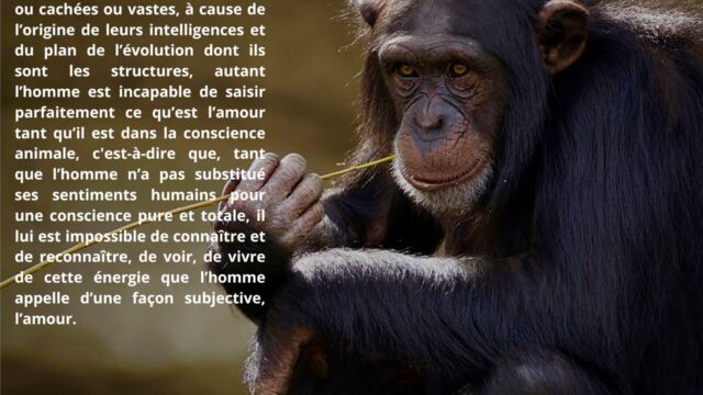 xr:d:DAFzvbZYtP4:5,j:8442406238545607628,t:23111006