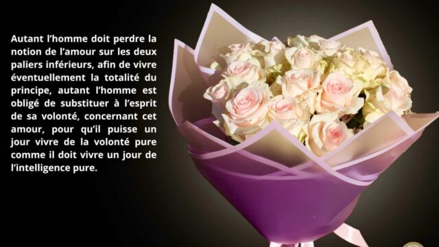 xr:d:DAFzvyNTixc:6,j:8524596936664734883,t:23111007